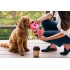 Play- Pup Cup - Dog toys - Donut