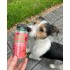 MB- Flacone 150 ml Bolle per Cani e Gatti - Aroma Bacon