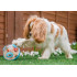 PLAY - Palla Gioco Dispenser Cibo per Cani - Wobble Ball - vari colori disponibili