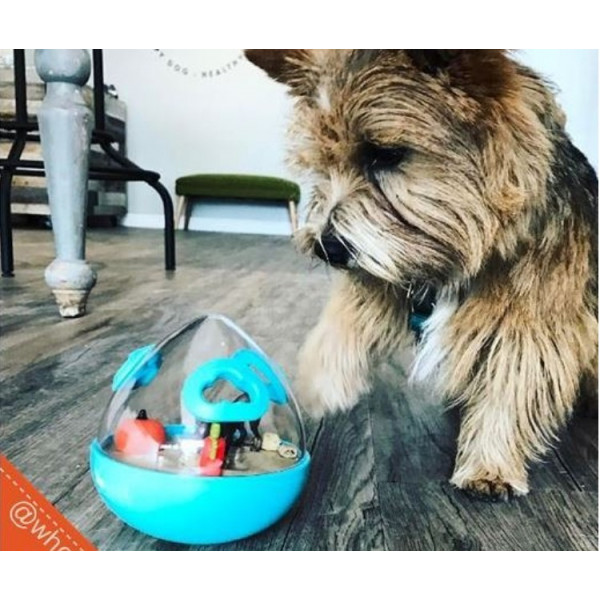 PLAY - Palla Gioco Dispenser Cibo per Cani - Wobble Ball - vari colori disponibili