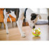 PLAY - Palla Gioco Dispenser Cibo per Cani - Wobble Ball - vari colori disponibili