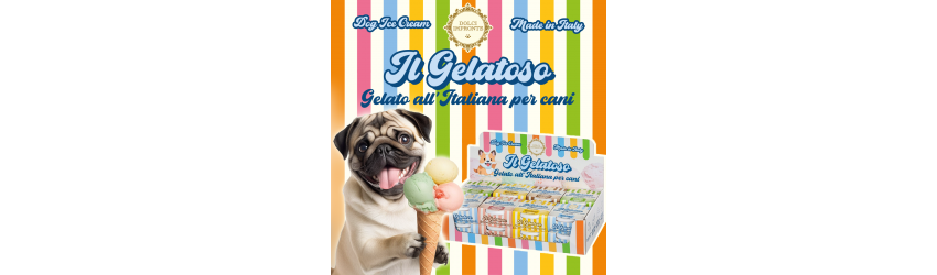 Ice cream - Il gelatoso Made in Italy